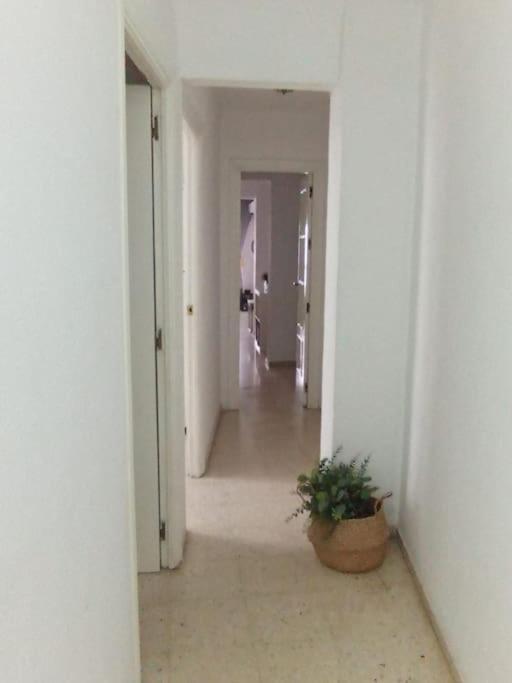 Apartamento Plaza Toros 塞维利亚 外观 照片